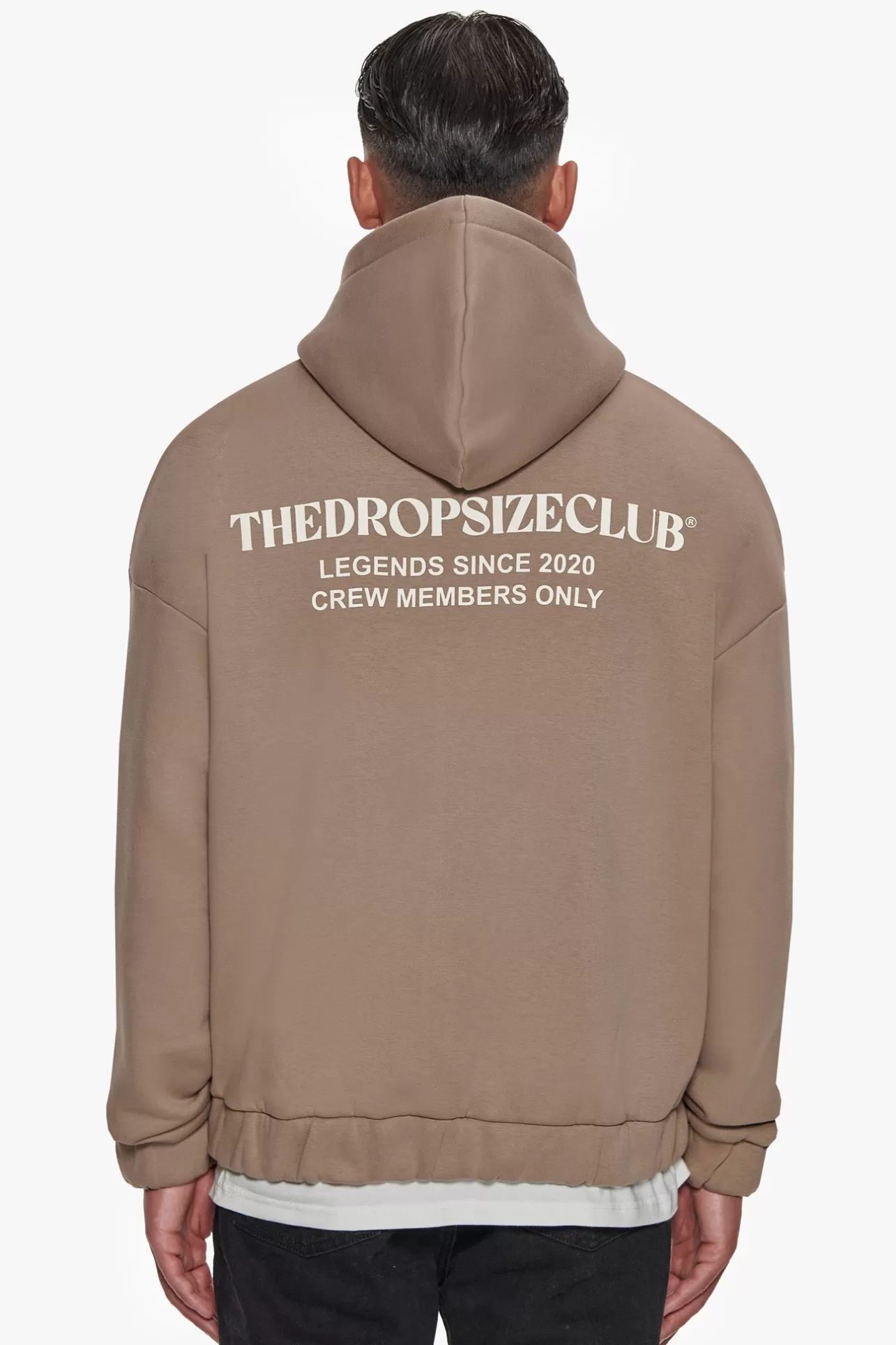 Dropsize HEAVY OVERSIZED TDC ZIP HOODIE SILVER MINK* Zips